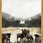Out West, Manti Utah