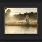 The One