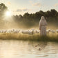 The One