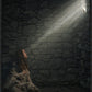 A Captive's Hope
