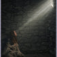 A Captive's Hope