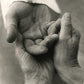 I Have Graven Thee