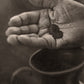 Widow's Might