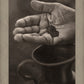 Widow's Might