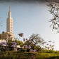 Los Angeles, The Day Dawn Is Breaking