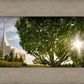 Rexburg, The Day Dawn Is Breaking