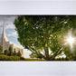 Rexburg, The Day Dawn Is Breaking