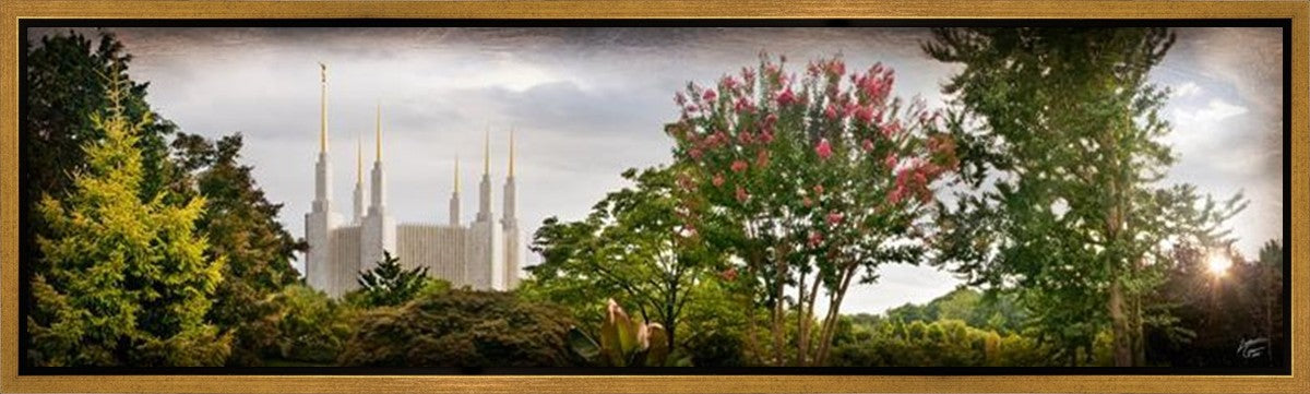 Washington DC, The Day Dawn Is Breaking