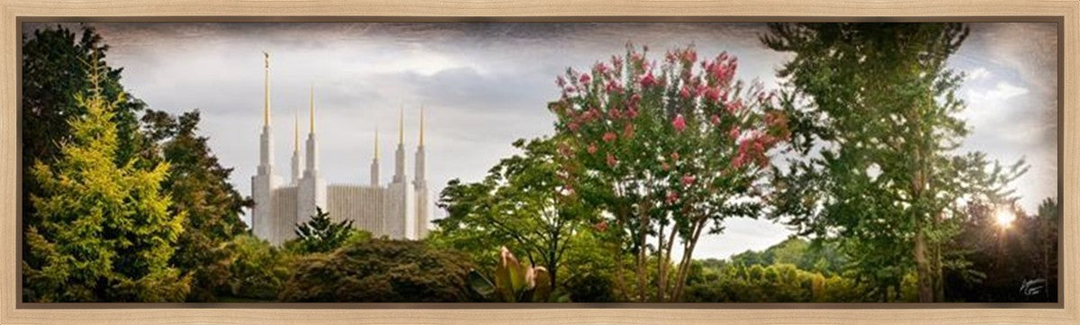 Washington DC, The Day Dawn Is Breaking