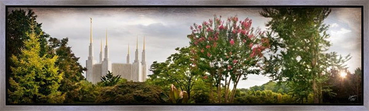 Washington DC, The Day Dawn Is Breaking