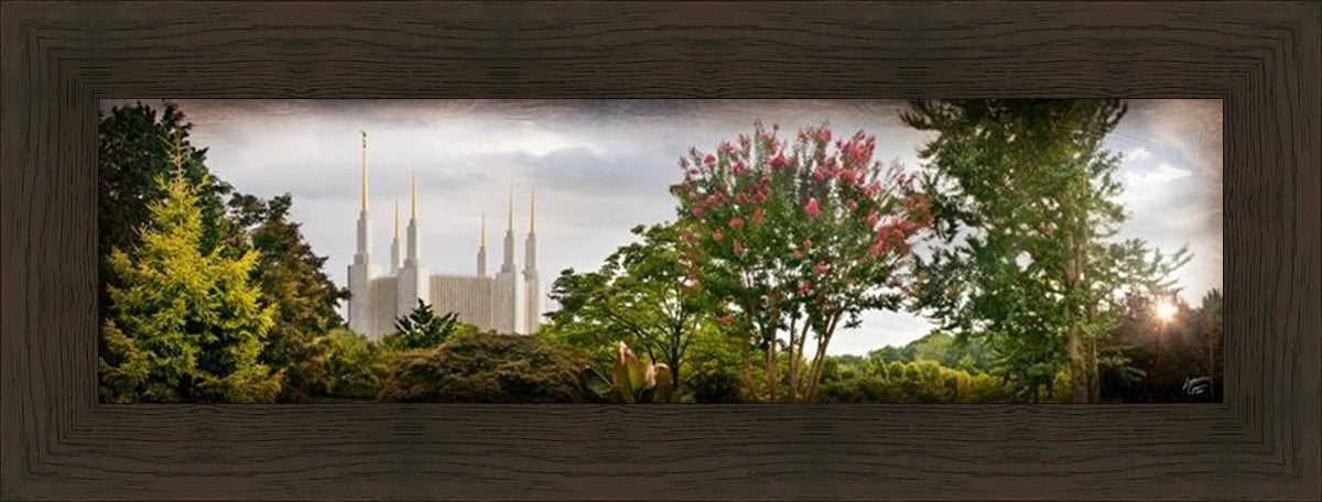 Washington DC, The Day Dawn Is Breaking