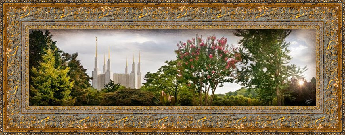 Washington DC, The Day Dawn Is Breaking