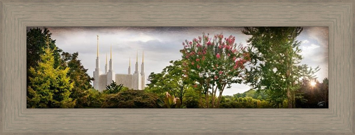 Washington DC, The Day Dawn Is Breaking