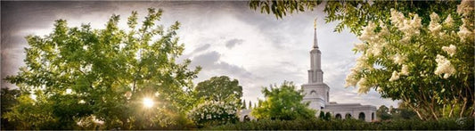 Sacramento, the Day Dawn is Breaking Gallery Wrap