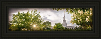 Sacramento, The Day Dawn Is Breaking