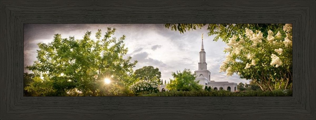 Sacramento, The Day Dawn Is Breaking