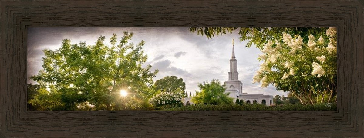 Sacramento, The Day Dawn Is Breaking