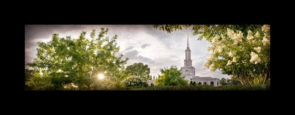 Sacramento, The Day Dawn Is Breaking