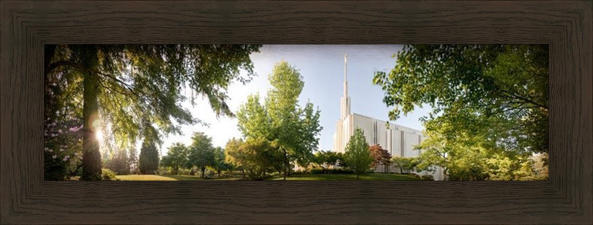 Seattle, The Day Dawn Is Breaking