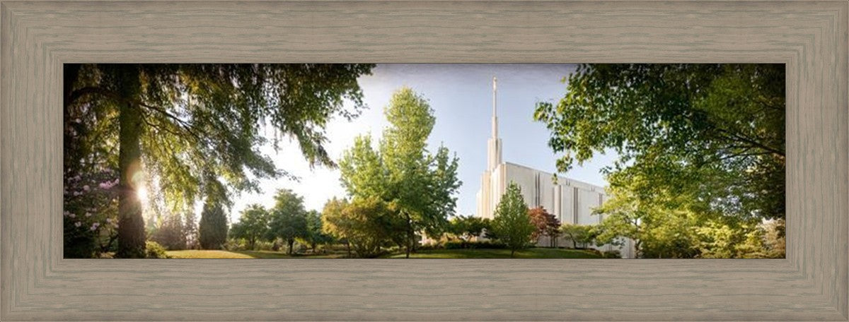 Seattle, The Day Dawn Is Breaking