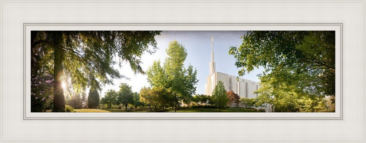 Seattle, The Day Dawn Is Breaking