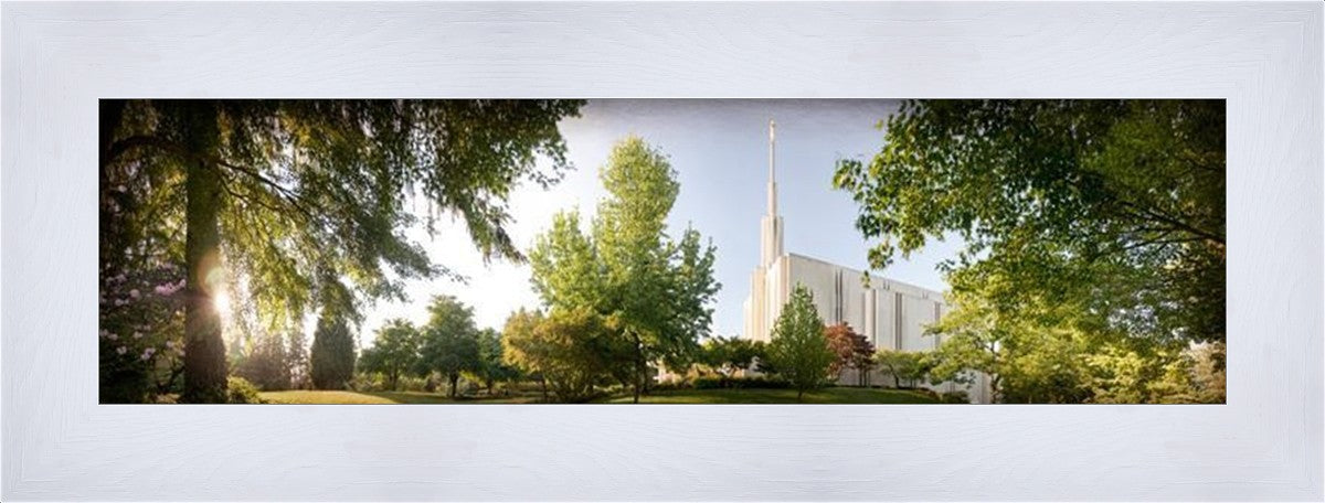 Seattle, The Day Dawn Is Breaking