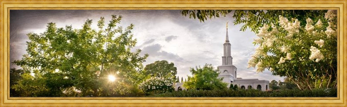 Sacramento, The Day Dawn Is Breaking