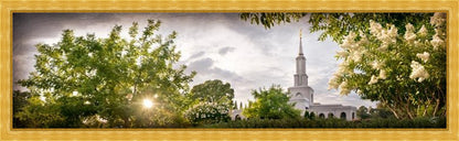 Sacramento, The Day Dawn Is Breaking