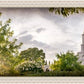 Sacramento, The Day Dawn Is Breaking