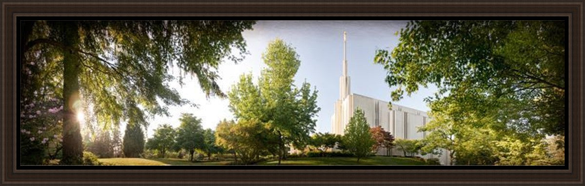 Seattle, The Day Dawn Is Breaking