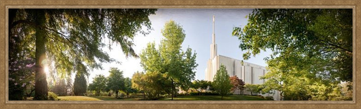 Seattle, The Day Dawn Is Breaking