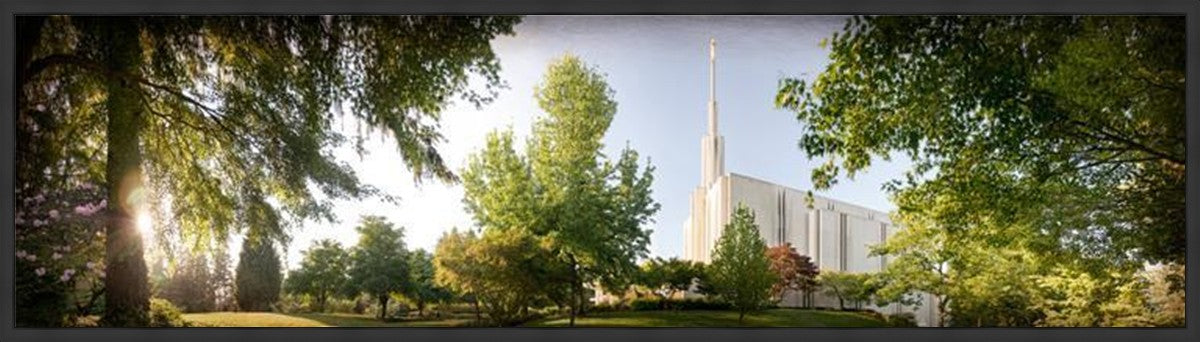 Seattle, The Day Dawn Is Breaking