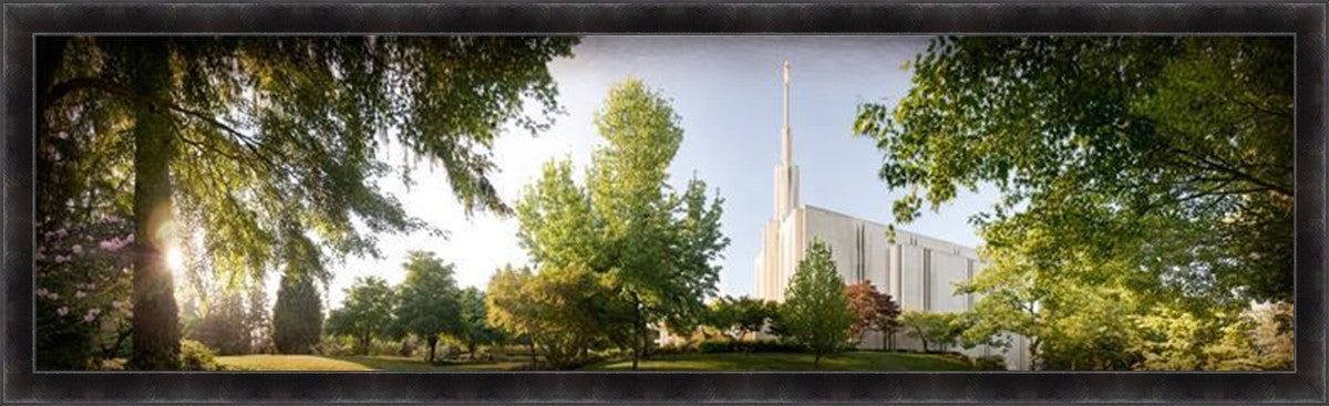 Seattle, The Day Dawn Is Breaking