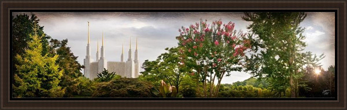 Washington DC, The Day Dawn Is Breaking