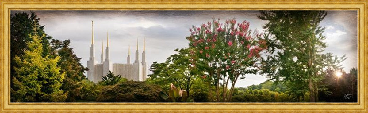 Washington DC, The Day Dawn Is Breaking