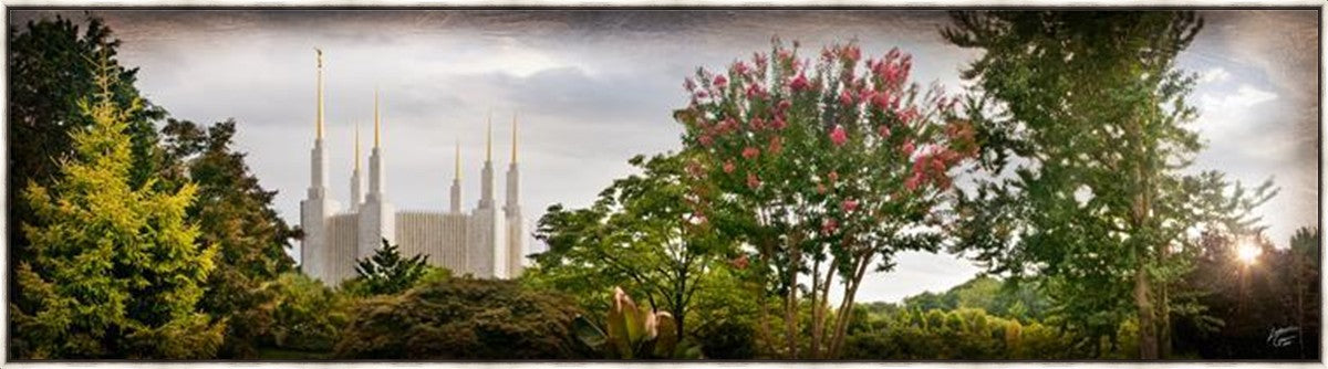 Washington DC, The Day Dawn Is Breaking