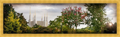 Washington DC, The Day Dawn Is Breaking