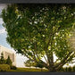 Rexburg, The Day Dawn Is Breaking