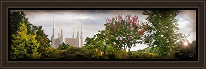 Washington DC, The Day Dawn Is Breaking