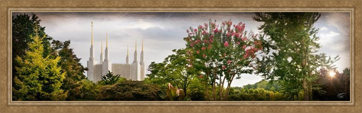 Washington DC, The Day Dawn Is Breaking