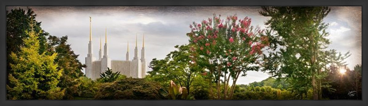 Washington DC, The Day Dawn Is Breaking