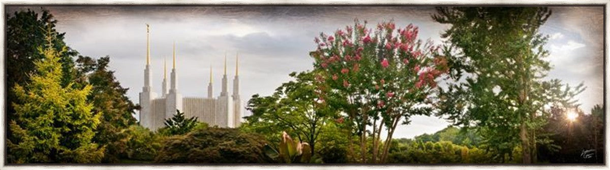 Washington DC, The Day Dawn Is Breaking