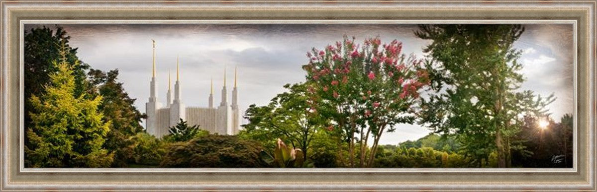 Washington DC, The Day Dawn Is Breaking