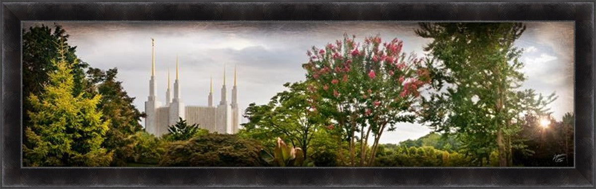 Washington DC, The Day Dawn Is Breaking