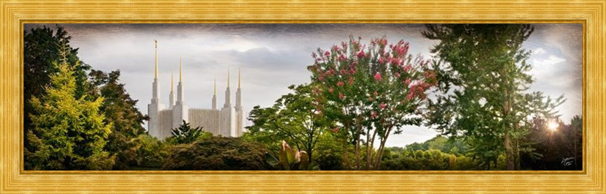 Washington DC, The Day Dawn Is Breaking