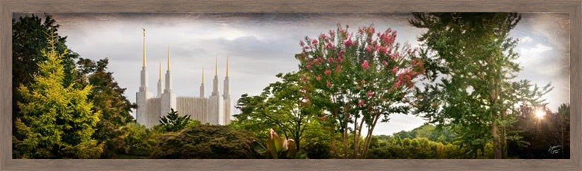 Washington DC, The Day Dawn Is Breaking