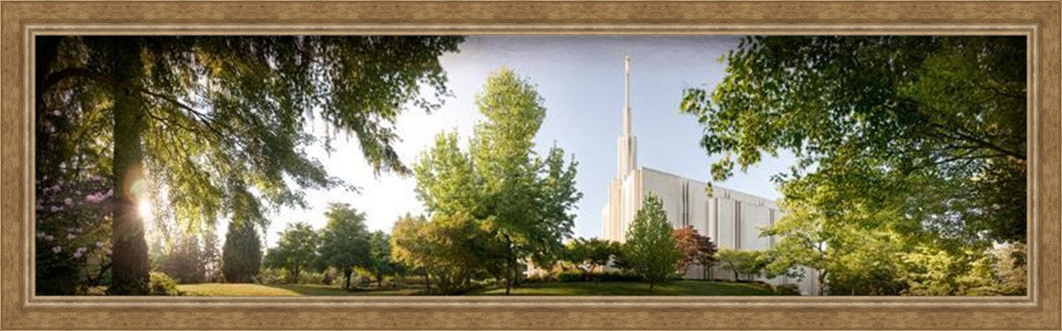 Seattle, The Day Dawn Is Breaking