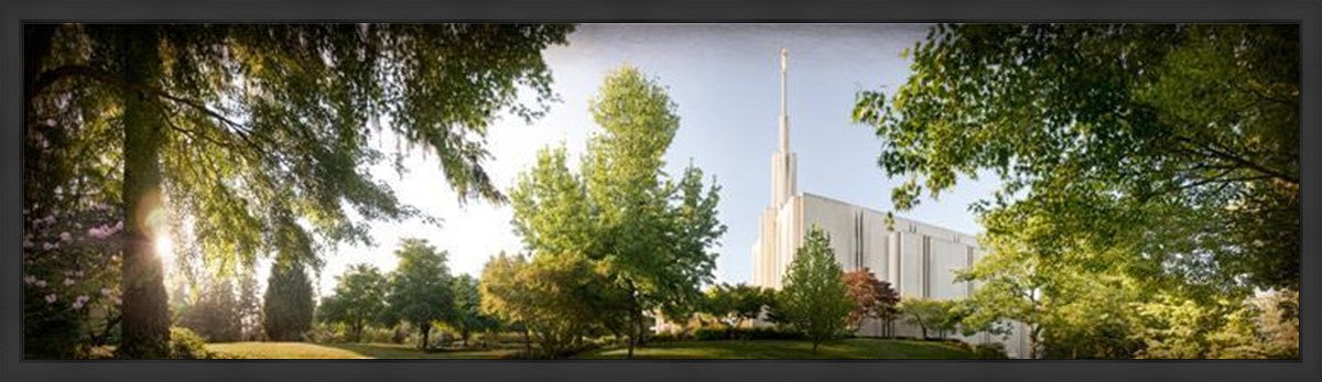 Seattle, The Day Dawn Is Breaking