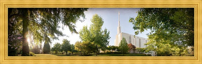 Seattle, The Day Dawn Is Breaking