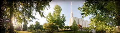 Seattle Washington Temple Pictures & Art
